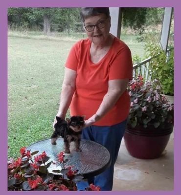 Ive raised healthy happy yorkies since 1982 !