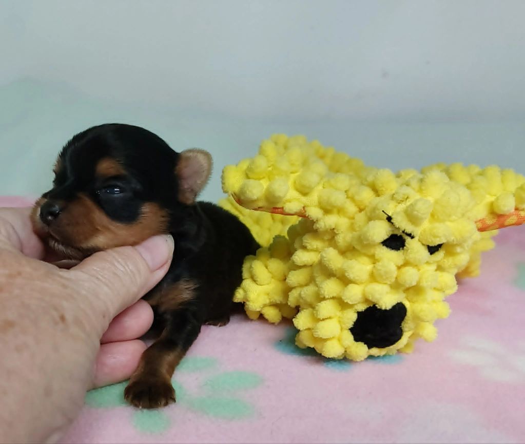 Tiny boy from Darla and Sunny