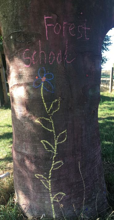 Chalk drawing of a flower and 'Forest School' on a tree trunk.