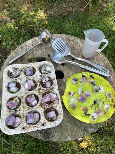 Ice cubes with flowers and leaves frozen inside, displayed on a dirty muffin tray and a yellow plate outdoors.