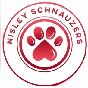 nisleyschnauzers.com