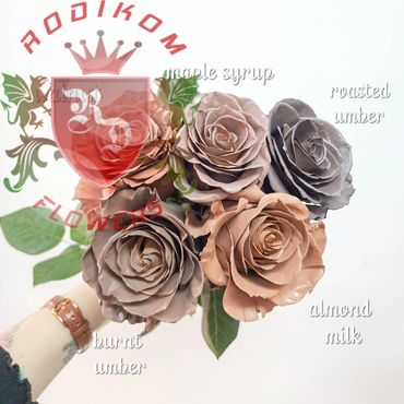 Tinted Roses Collection roses from Ecuador