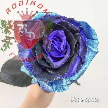 Tinted Roses Deep Space roses from Ecuador