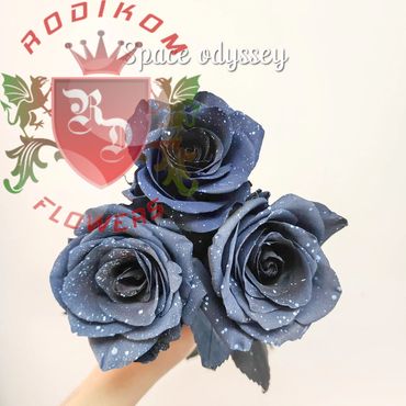 Tinted Roses Space Odyssey roses from Ecuador
