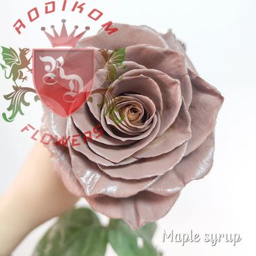 Tinted Roses Maple Syrup roses from Ecuador