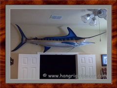 Mr. Moneybags the 11 foot Blue Marlin