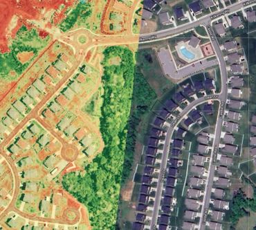 Vegetation analysis variations vs. raw satellite imagery