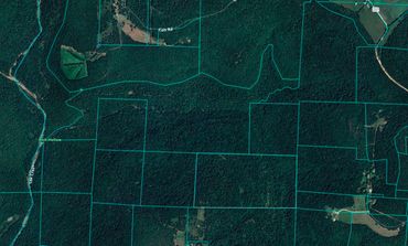 Parcel line integration