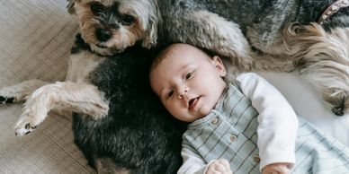 A baby lying next to a dog on a cozy blanket.