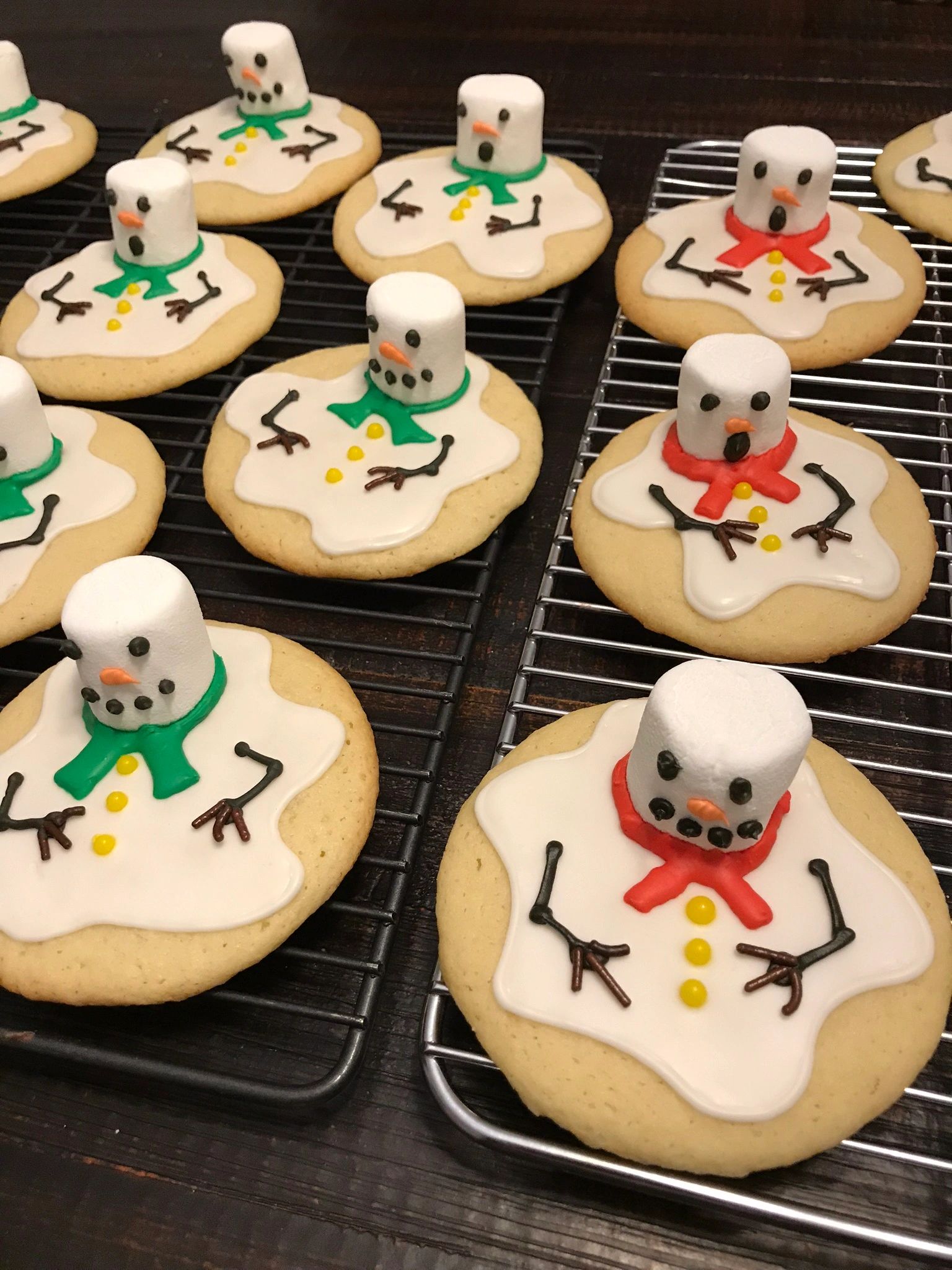 Poor Snowman melted in the Tennessee heat - large selection of decorated cookies for all events, kid