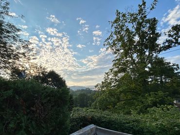 Scenic view of a wooden deck overlooking lush greenery under a cloudy blue sky.