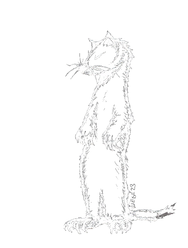 Sleepy Weasel Records 2023