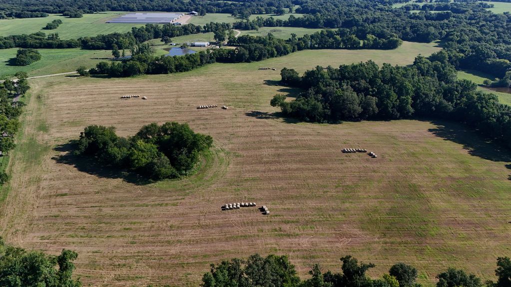 Land and agricultural survey