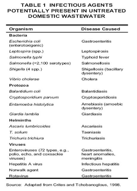 Table 1 - Infectious Agents Potentially Present in Untreated Domestic Wastewater