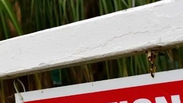 Vacation rentals, inland beach side or intown