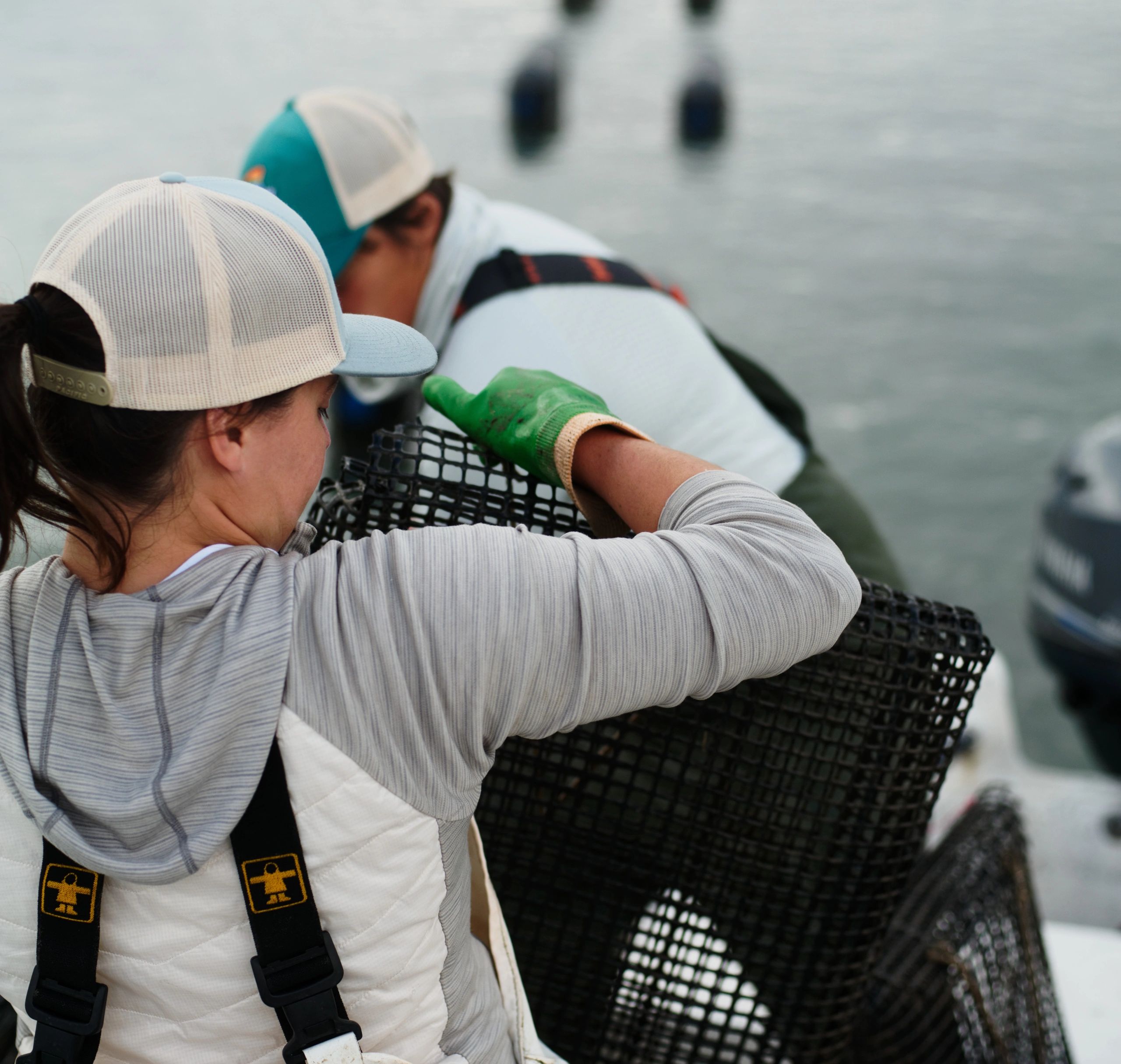 An oyster farmer lifts up a mesh bag containing oysters, with water in the background