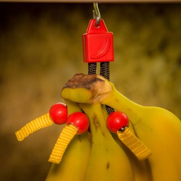 Durable banana fruit holder