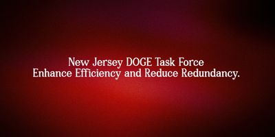 Text on a red background about New Jersey DOGE Task Force goals.