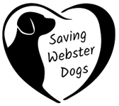 Saving Webster Dogs