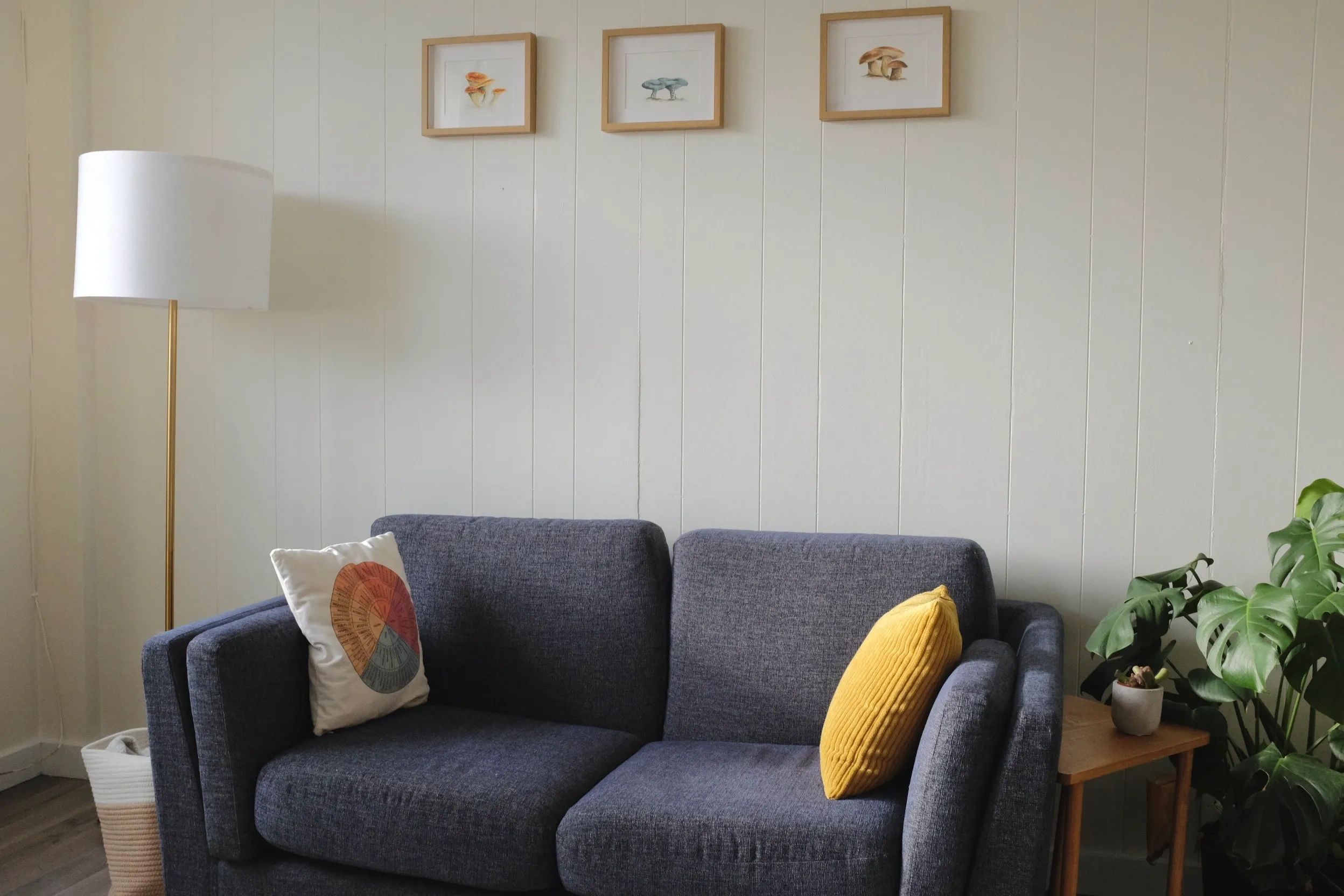Cozy living room with blue sofa and green plant.
