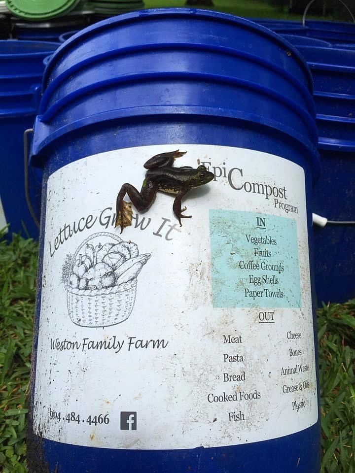 Epic Compost Program bucket with list of compostable items on it.