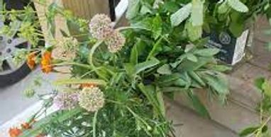 West 39th Street, Kansas City, MO 64111