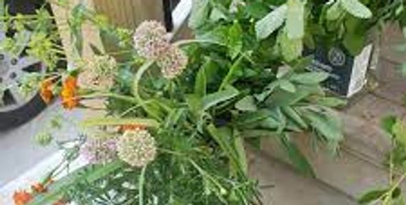 West 39th Street, Kansas City, MO 64111