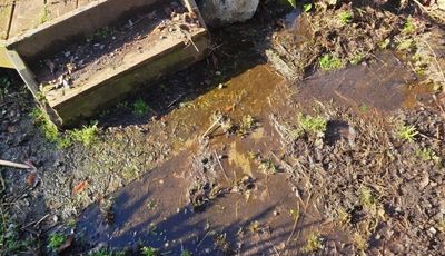 Standing water in a flooded yard before drainage repairs by Fairytale Landscaping & Drainage