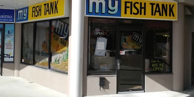 My fish tank is a local business selling fish salt and fresh water