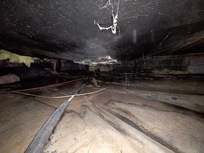 Wet crawl space with standing water beneath a Nanaimo home requiring drainage repairs