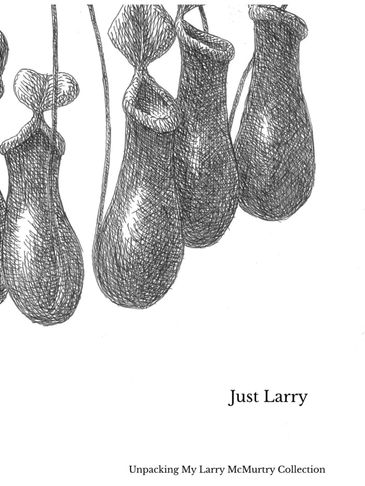 Black ink drawing of hanging objects resembling gourds, titled 'Just Larry'.