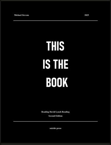 Minimalist black book cover titled 'This Is The Book' by Michael Stevens, 2025.