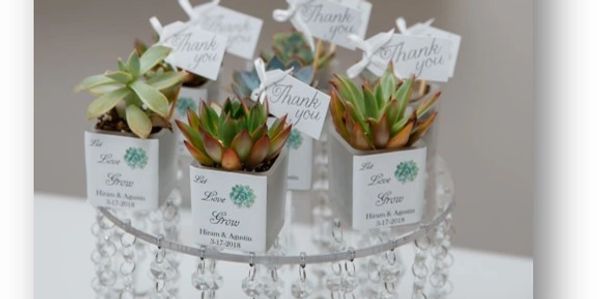 succulent favors custom made for a wedding