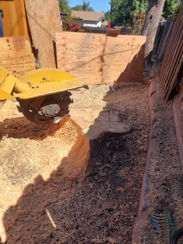 A stump grinder machine clearing a tree stump in a backyard.