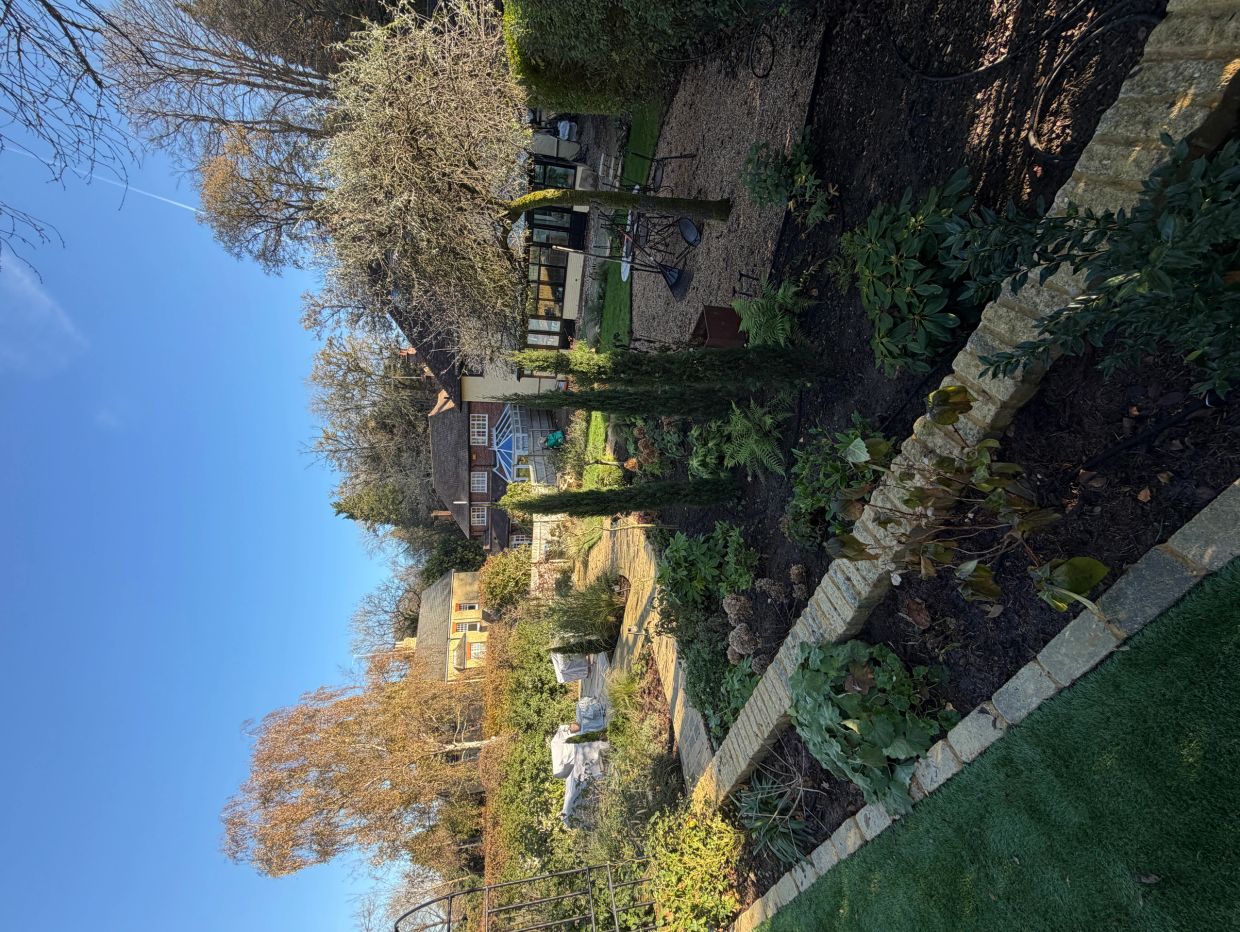 A sunny garden scene with tall trees and cozy houses under a clear blue sky.