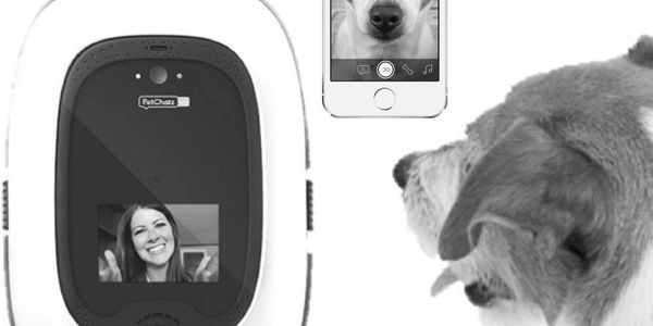 I want to monitor my dog.  Furbo dog camera.
