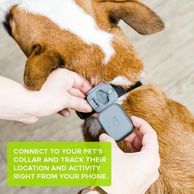 Whistle 3 the best dog tracking device available.