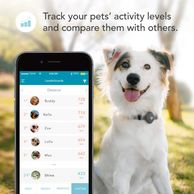 Best dog tracking devices.