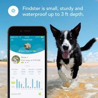 Findster Duo dog tracking device.