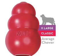 Top rated dog toys.  Kong toys for the best dog ever.