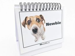 Doggy Moodycards! Great Cubicle Accessories.  Holiday gift guide for the dog fan