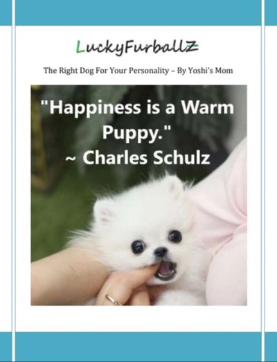 Free E-Book, The Right Dog For Your Personality.  Sign up for your free E-Book today!