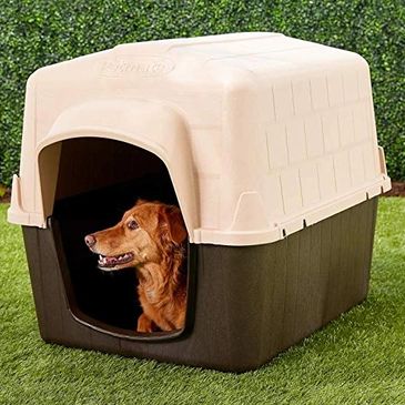 Top selling dog houses on sale.
