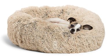 Looking for the best dog bed options?  Look no further.  Dog beds at a bargain.