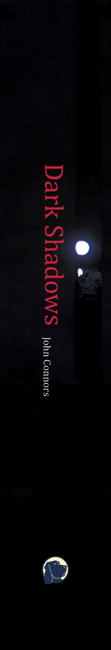 Book cover titled 'Dark Shadows' by John Connors with a dark background and candlelight.
