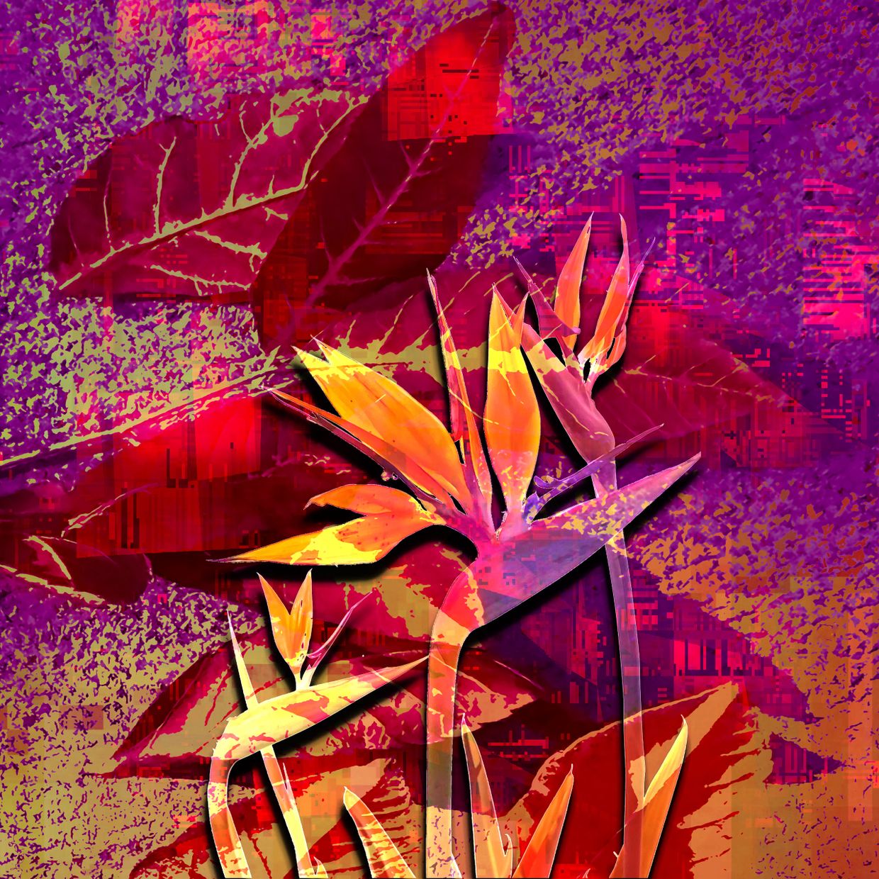 Vibrant digital art of Bird of Paradise flowers in bold red, purple, and orange hues.