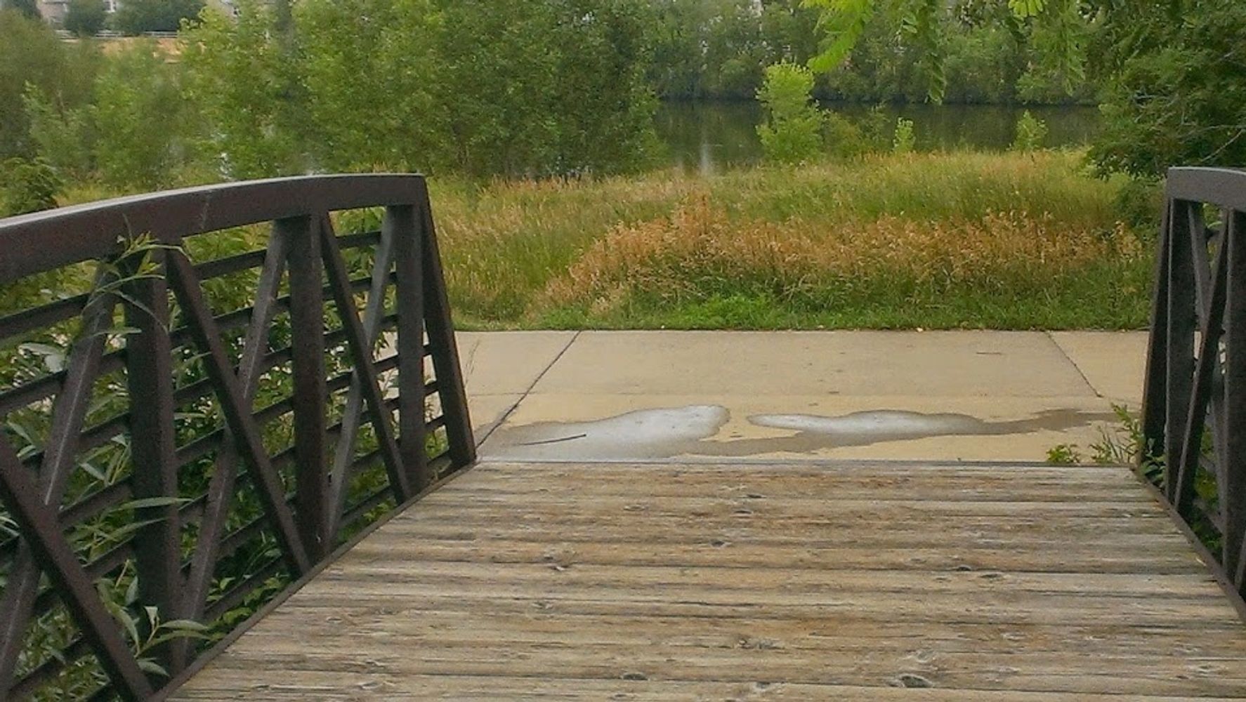 A bridge looking onto a pond.
