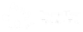 PragmaTech Inventions Inc.