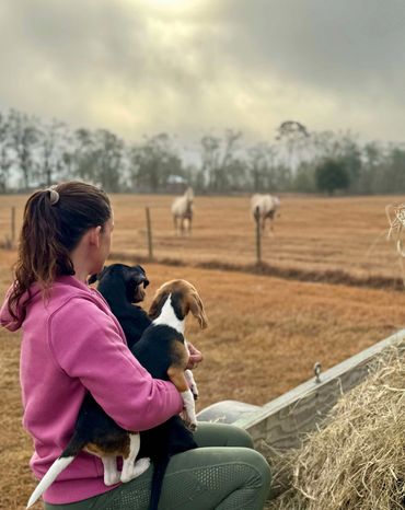 A woman with two young puppies in her arms watching 2 palamino horses walking towards them.
