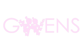 GWENS - Giving Women Empowerment, Networking and support